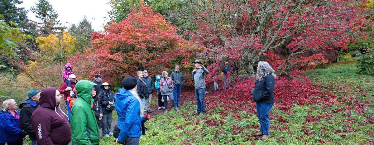 Members Fall Colors Tour with the Curator